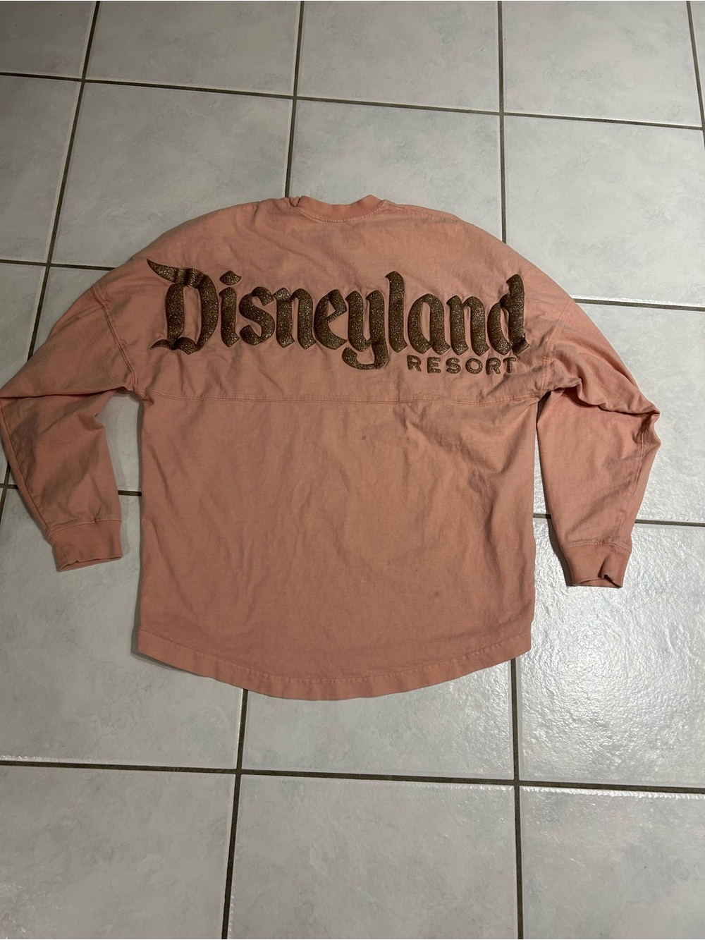 Disney Long-Sleeve Tee in Dusty Rose with Disneyland Resort Script